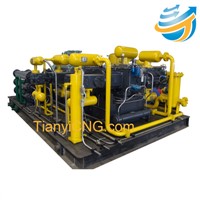 CNG standard station compressor