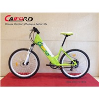 350W Disc brake electric bike
