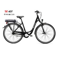 Inner-3 speed Electric Bicycle with City Style