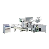 Automatic Stainless Steel Fryer for Snacks Food