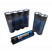 LR6 AA alkaline battery 4pcs/shrink film