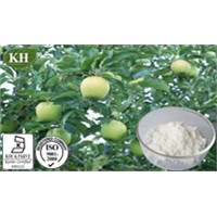 High Quality Apple Root Extract Phloridzin 80-98%; Phloretin 80%-98%