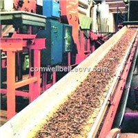 Chemical-resistant EP Conveyor Belt