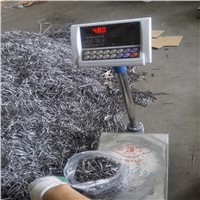 Direct factory for commom nails /wire  nails /iron nails