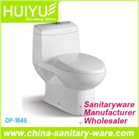 Self-Cleaning Washdown One-Piece S-Trap Toilet