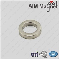 Strong Holding Force Neodymium Magnets With Special Shape