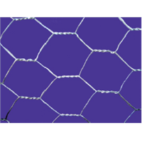 Hexagonal wire mesh
