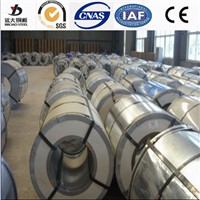 Galvanized Steel Strips Galvanized Steel Rolls in Coils