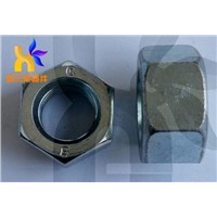Hex Nuts|Hex Nut