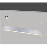 LED Pendant light