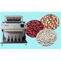 Kidney bean color sorter with high quaility and factory price