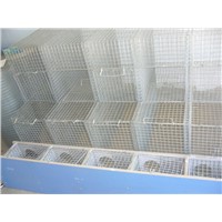 hot dipped galvanized welded mesh panels iron mink cage Animal Cage Mink Cage