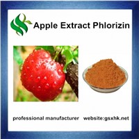 Hot Sale 100% Natural Apple Root Bark Extract