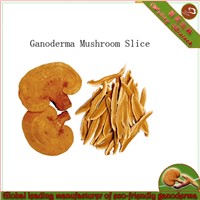 Organic Juncao Cultivated Ganoderma Lucidum Reishi Lingzhi slices