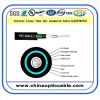 Central loose tube out armored cable (GJFXTKV53 )