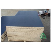 High quality wbp glue black/brown/red film faced plywood
