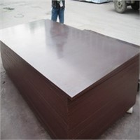 phenolic brown  film faced plywood manufacturer