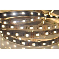 rgb/white/warm white SMD 5050 flexible led strip with CE ROHS