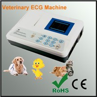 3 Channels ECG Machine for Vet