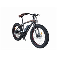 Newest Electric Fat Bike with 350W 48V Rear Motor