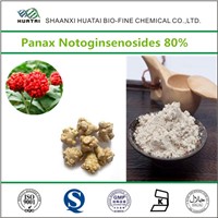 Chinese Herbal Medicine Panax Notoginseng Extract Panax Notoginsenosides Powder