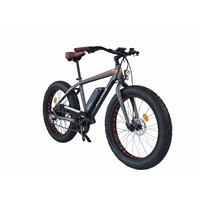 Fat Tyre Electric Bike with Great Quality