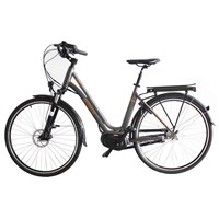 Graceful Electric Bicycle with 250W Middle Drive Motor