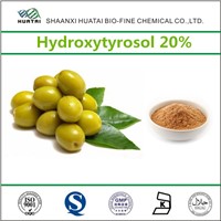 Natural Chinese Herbal Medicine Olea Europaea L. Hydroxytyrosol 20% Powder