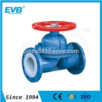 Pneumatic Diaphragm Valve