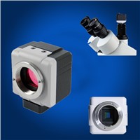 HD 10MP USB Color Digital Microscope Camera