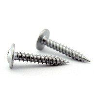 Button or Truss head(self tapping) screw  white zinc plated