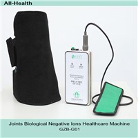 Healthy  Beneficial Biological Negative Ion Electrotherapy Equipment