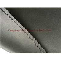 polyester weft knitted interlock fabric(BM1011T)