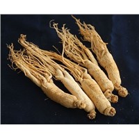 organic pure natural ginseng/pure ginseng/ginseng root/white ginseng