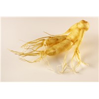 Natural Herbal Ginseng Extract /Panax Ginseng Extract/Ginseng C.A.Mey extract(Hot sale)!
