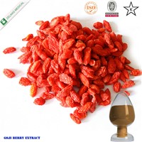 Natural Goji Berry Extract Powder with FDA Registered