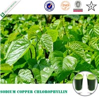 Natural Mulberry Leaf Extract /Sodium Copper Chlorophyllin