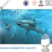 Nutritional Supplement Chondroitin Sulfate