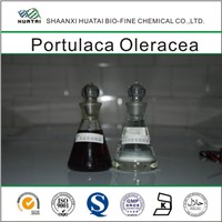 Skin Anti-aging Portulaca oleracea extract
