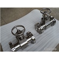 1'' 900LB INCONEL 625 globe valve