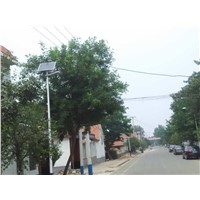 High lumen 6 meters 3500lume led solar street light