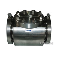 Titanium check valve