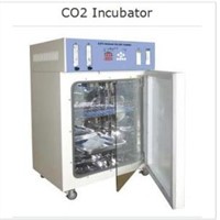 CO2 Incubator
