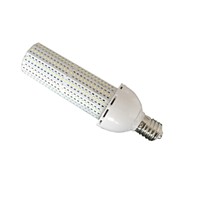 60W High Quality LED Garden Light