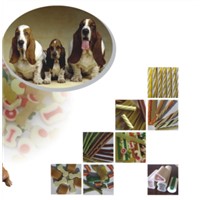 Chewing, jam center pet food process line