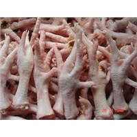 Brazilian Quality Halal frozen whole Chicken