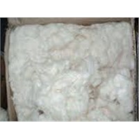 Raw Cotton / 100% Cotton Raw / 100% Cotton