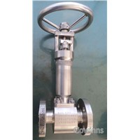 904L bellow sealed globe valve