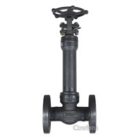 Cryogenic globe valve