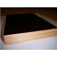Film faced Plywood for Construction